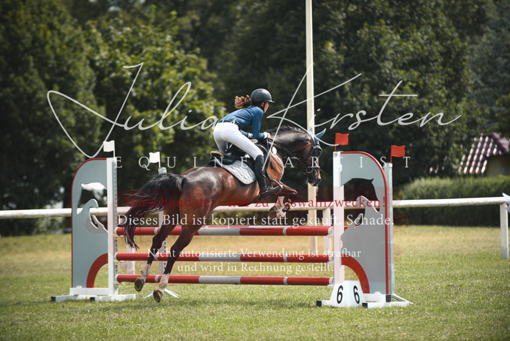 DSC_6768 | Pferde- und Turnierfotografie in Westsachsen. Pferdeportraits, Auftragszeichnungen und intuitive Kunst.