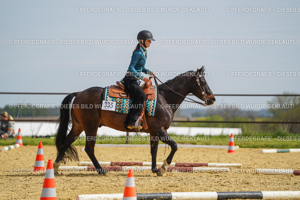 DSC04305 | Pferdegrafie