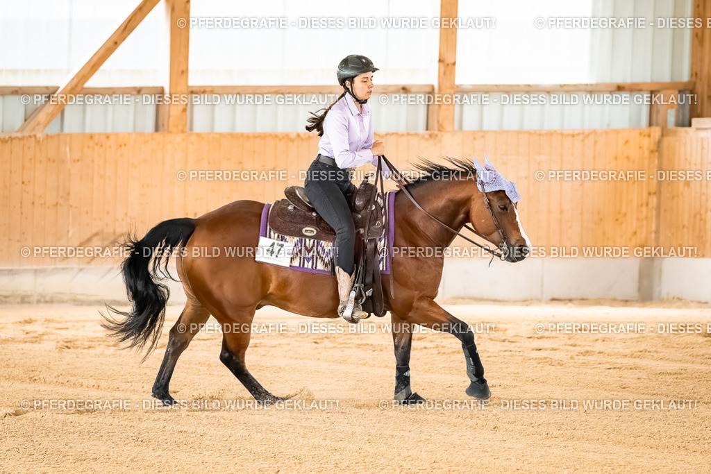 DSC02024 | Pferdegrafie