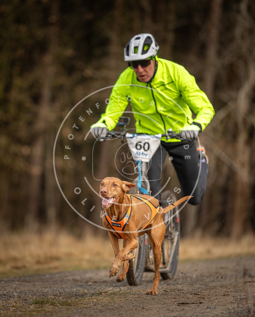 DV3A3525 | Hundefotografie, Tierfotograf, Pfotenfotografie, Fotoshooting Hund, Hunde Portrait, Hundesport, Hundeportraits, Heideshooting, Hunde, Sportfotograf, Hundefotograf, Turnierhundsport, THS,  - Realisiert mit Pictrs.com