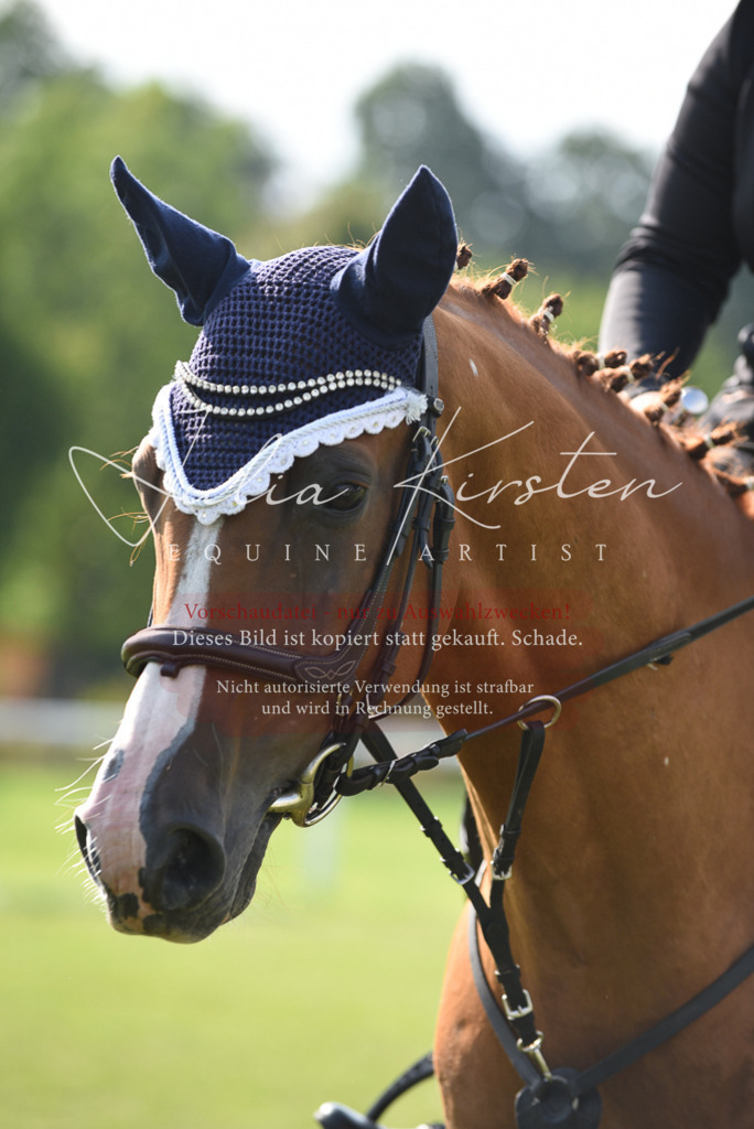 DSC_8713 | Pferde- und Turnierfotografie in Westsachsen. Pferdeportraits, Auftragszeichnungen und intuitive Kunst.