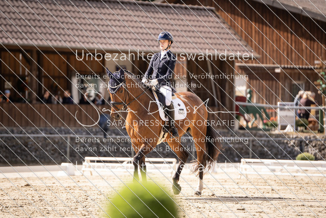 SD_OED_05566 | saradresslerfotografie - Realisiert mit Pictrs.com