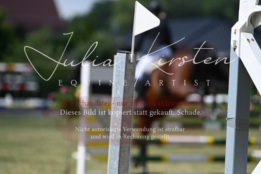 DSC_8765 | Pferde- und Turnierfotografie in Westsachsen. Pferdeportraits, Auftragszeichnungen und intuitive Kunst.