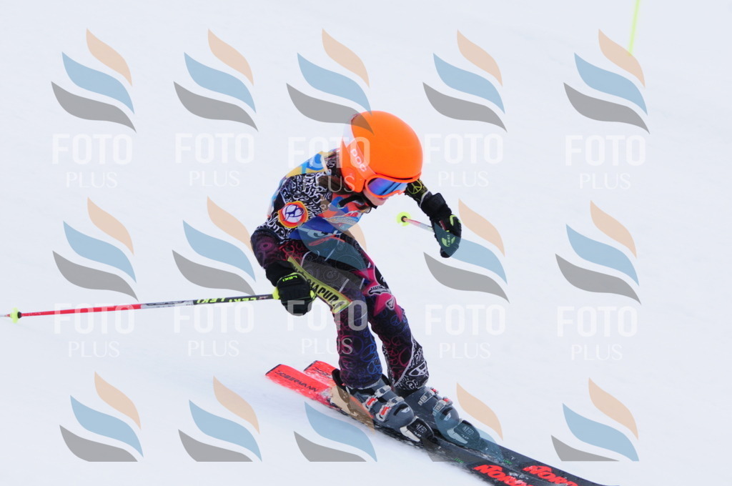 C3356 | holidayphoto