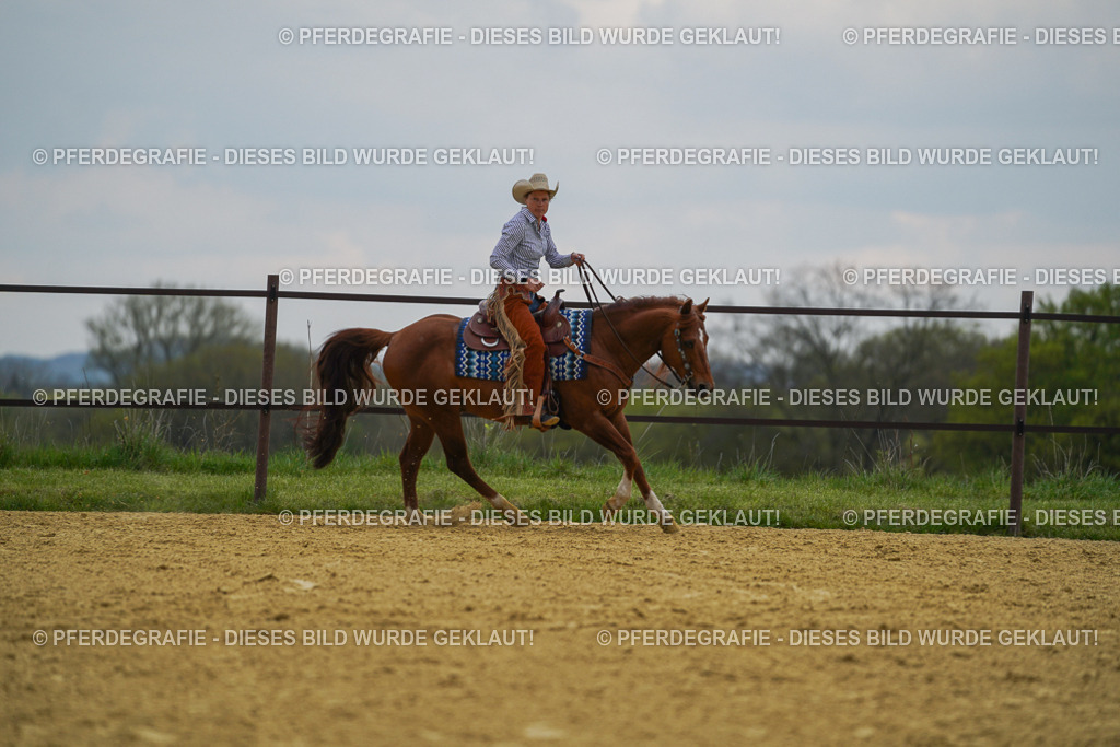 DSC07782 | Pferdegrafie