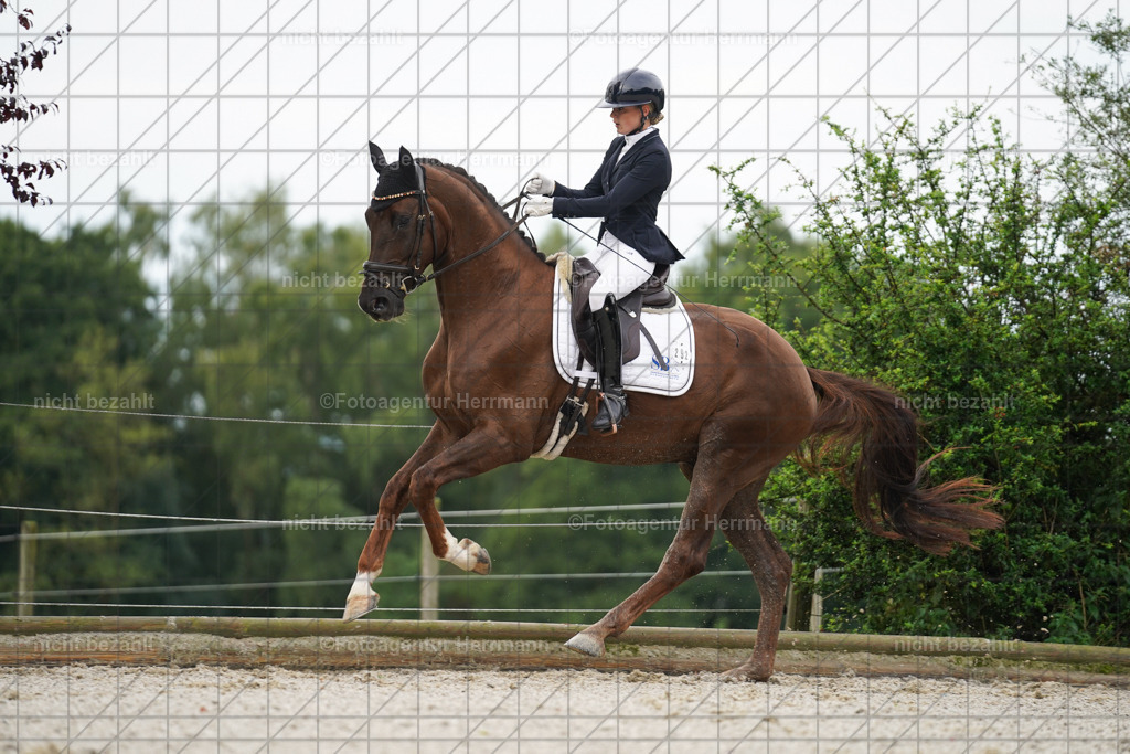 20230826-FAH04349 | Forstinning, 2023, Dressurturnier, Turniersportbilder, Turnierfotografen Bayern, Fotoagentur Herrmann, Reitsportfotografie, Turnierbilder