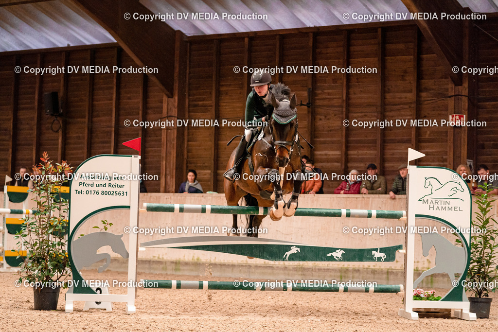 Springen Tag 3-418 | dv-media-shop - Realisiert mit Pictrs.com