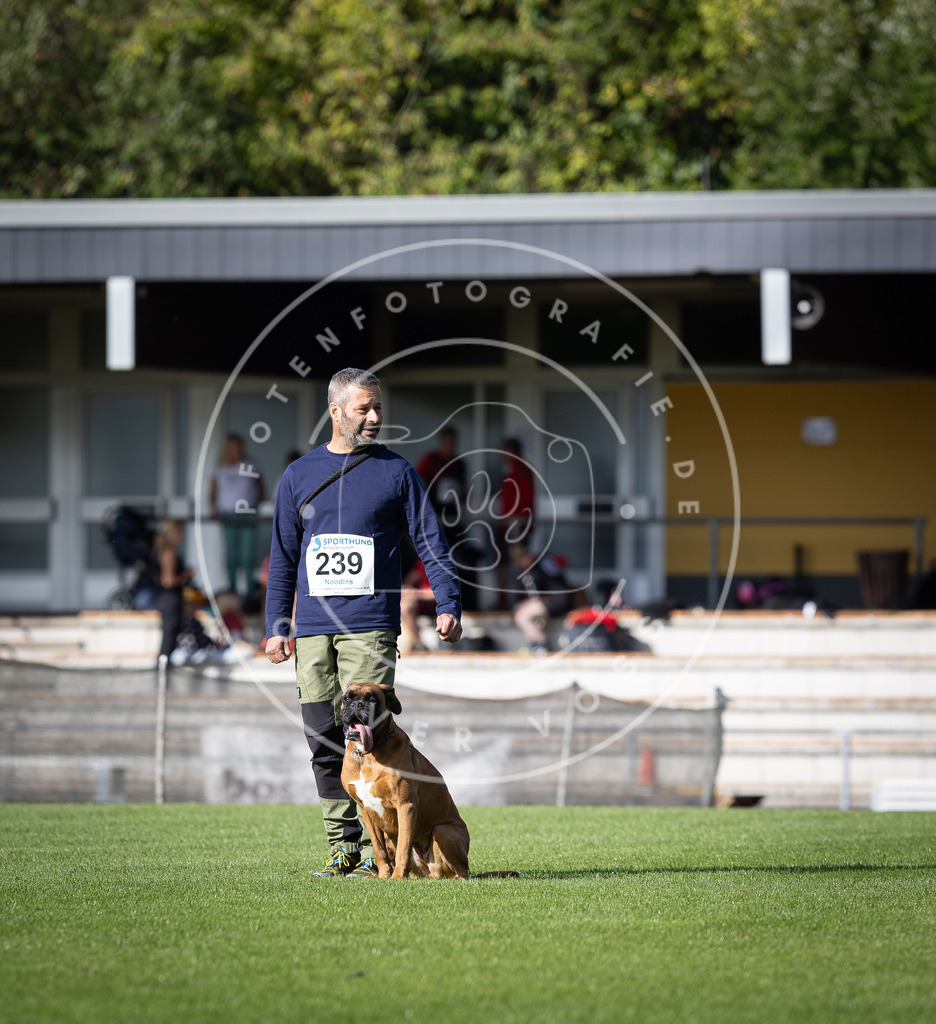 Pfotenfotografie_DV3A4893 | Hundefotografie, Tierfotograf, Pfotenfotografie, Fotoshooting Hund, Hunde Portrait, Hundesport, Hundeportraits, Heideshooting, Hunde, Sportfotograf, Hundefotograf, Turnierhundsport, THS,  - Realisiert mit Pictrs.com
