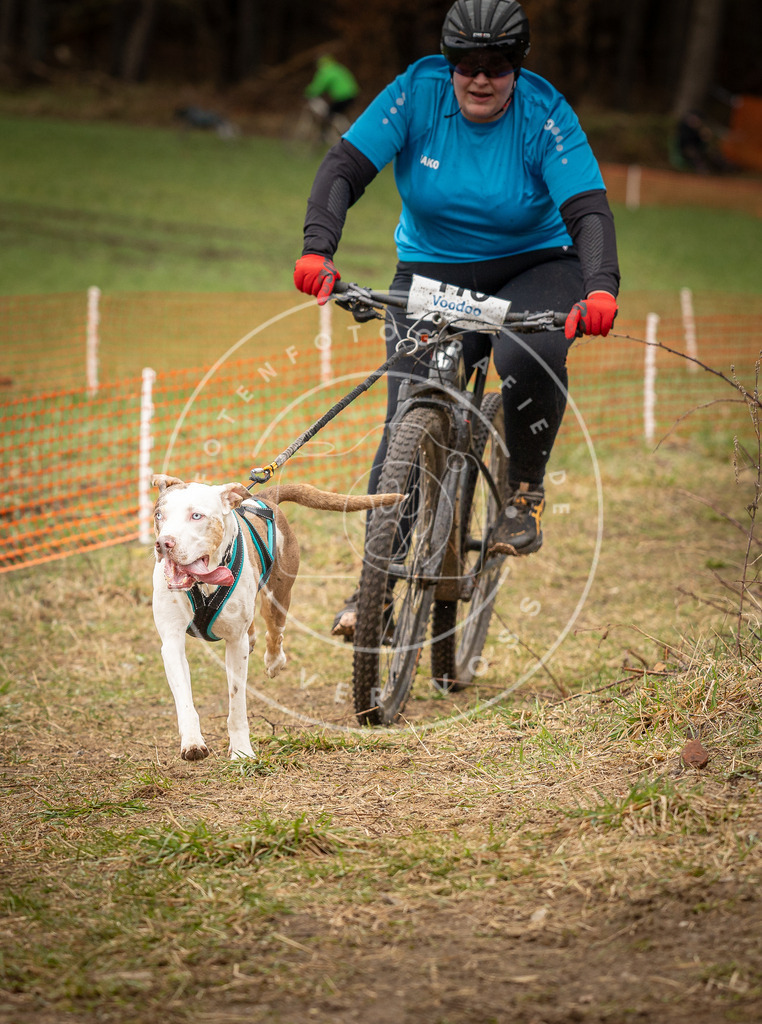 DV3A0835 | Hundefotografie, Tierfotograf, Pfotenfotografie, Fotoshooting Hund, Hunde Portrait, Hundesport, Hundeportraits, Heideshooting, Hunde, Sportfotograf, Hundefotograf, Turnierhundsport, THS,  - Realisiert mit Pictrs.com