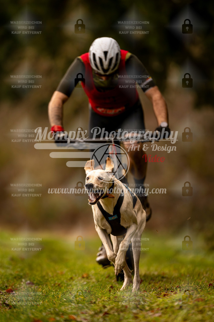 MompixPhotography_2SSTSSBW_2025_SO_Bike-4 | PayLife