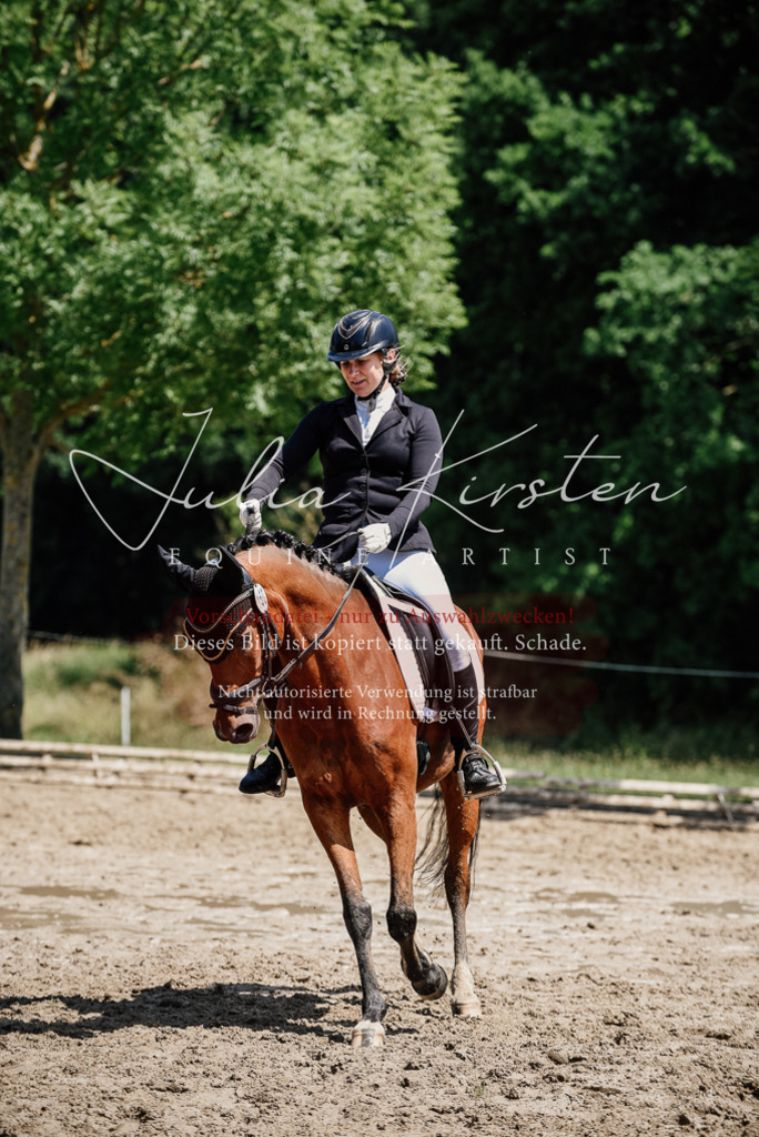 DSC_1872 | Pferde- und Turnierfotografie in Westsachsen. Pferdeportraits, Auftragszeichnungen und intuitive Kunst.