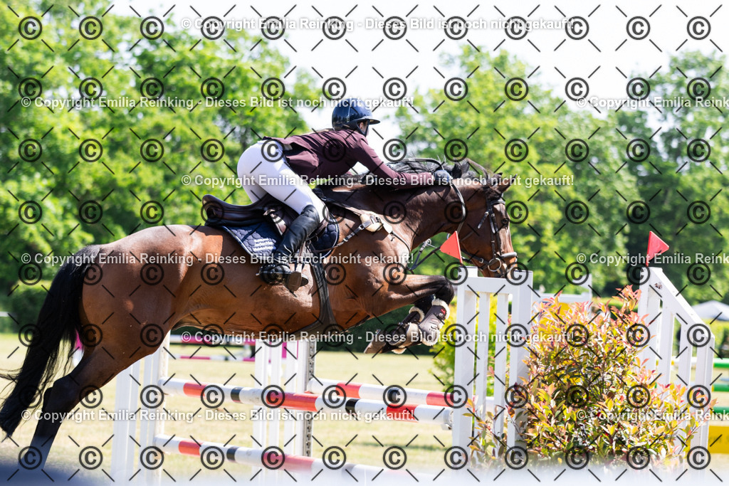 CL5A7390 | Emilia Reinking Fotografie - Realisiert mit Pictrs.com