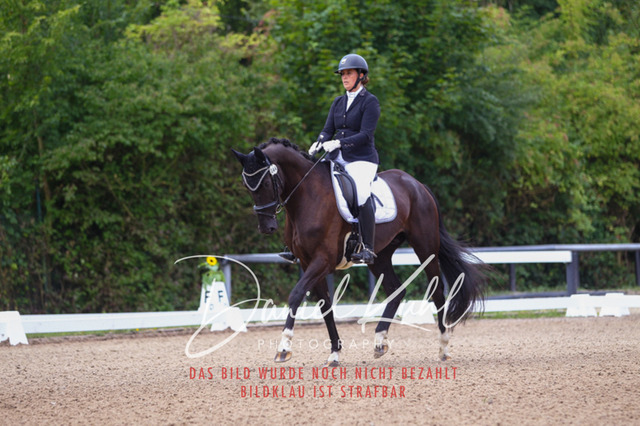 DKP40552 | Turniersportfotografie; Pferdefotografie; Dressurfotografie