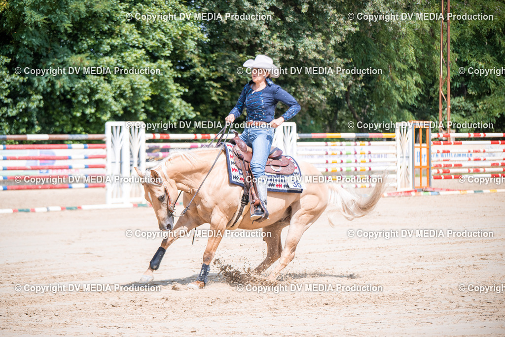 ZS3_5231 | dv-media-shop - Realisiert mit Pictrs.com