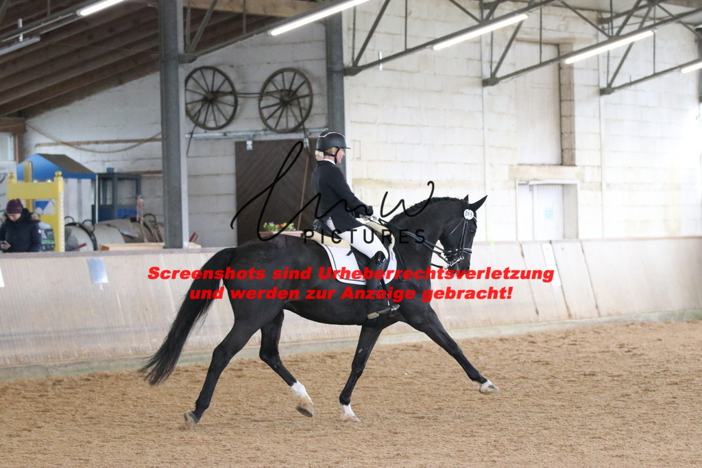 IMG_9906 | lmwpictures - Realisiert mit Pictrs.com