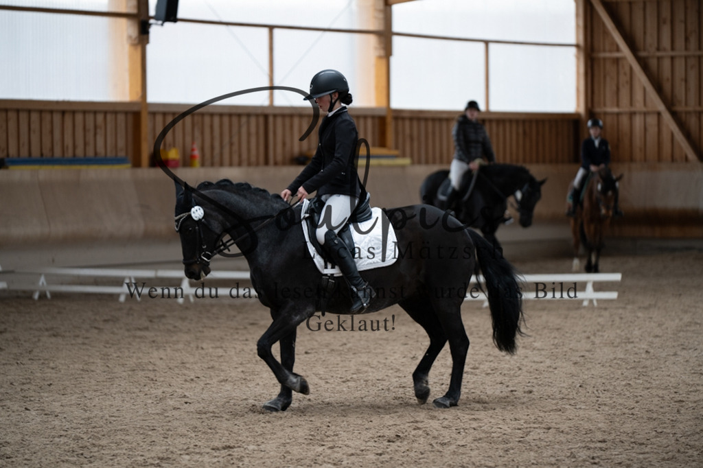 A7V09754 | Pferdefotograf