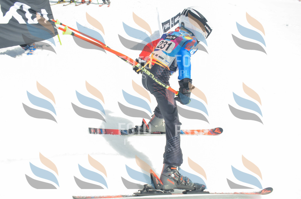 _ELE7308 | holidayphoto