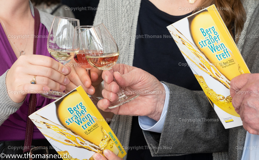 DSC_8035 | Der Bergsträßer Weintreff ist traditionell die Auftaktveranstaltung für den Bergsträßer Weinfrühling. Alljährlich April  bietet der Weintreff im Bürgerhaus Bensheim die einmalige Gelegenheit, fast 170 Bergsträßer Weine, Seccos und Sekte von 19 Weinbaubetrieben an einem Ort zu probieren. Nahezu alle Bergsträßer Betriebe sind vertreten und bieten ihre Spezialitäten an. Bild: Thomas Neu