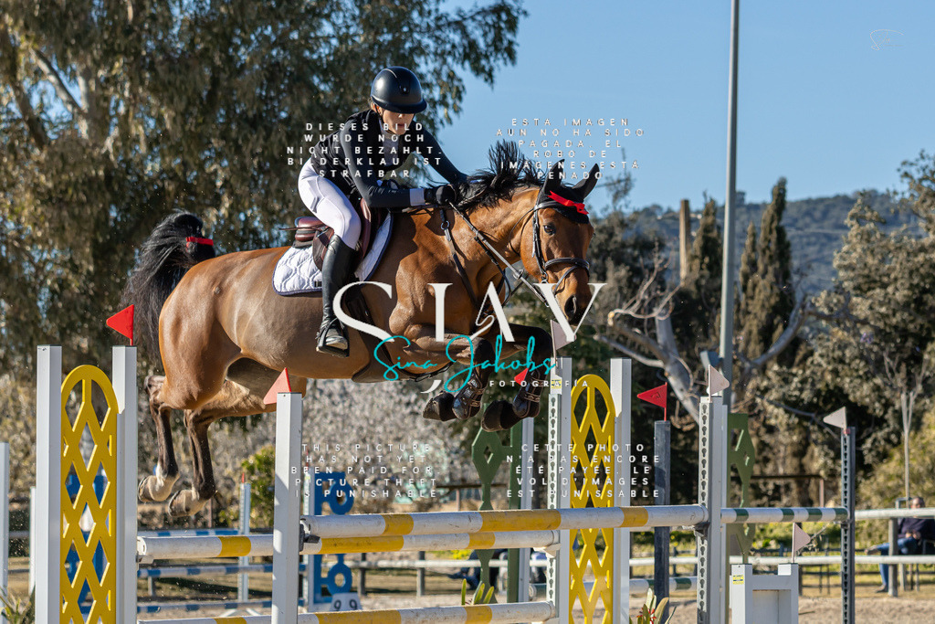 IMG_1788 | s-jay-photography - Realisiert mit Pictrs.com