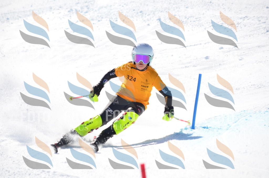 C9598 | holidayphoto