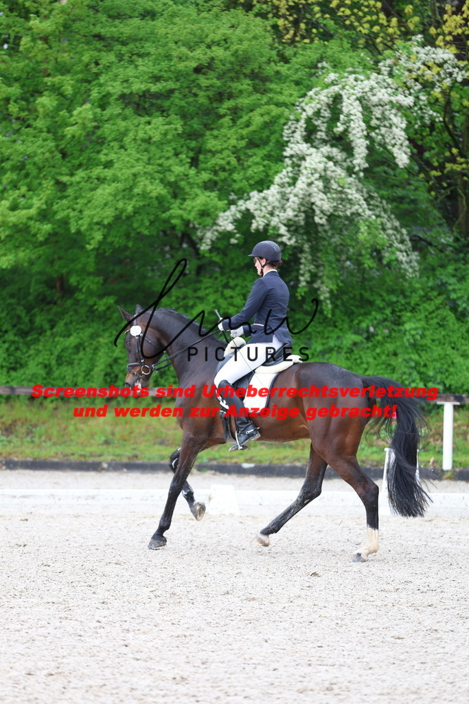 A40A9116 | lmwpictures - Realisiert mit Pictrs.com