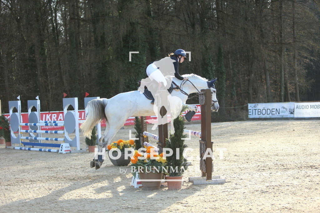 DL2Q4372 | Willkommen bei Brunnmayr - Design & Fotografie – Ihrem Spezialisten für Reitturniere und Pferdeveranstaltungen in Oberösterreich, Salzburg und Bayern! Seit über 17 Jahren sind wir leidenschaftlich dabei.
