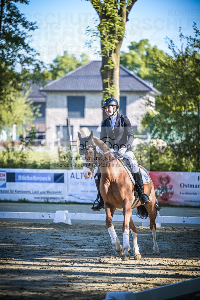 DOS_4803 | Entdecke hochwertige Reitturnierfotos von Foto Oger. Professionell, emotional und authentisch – jetzt Lieblingsmomente im Shop bestellen.Deutschlandweite Turnierfotografie. - Realisiert mit Pictrs.com