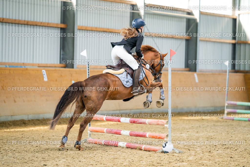 DSC01088 | Pferdegrafie