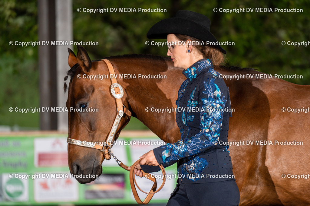 Erbach Tag 2-171 | dv-media-shop - Realisiert mit Pictrs.com