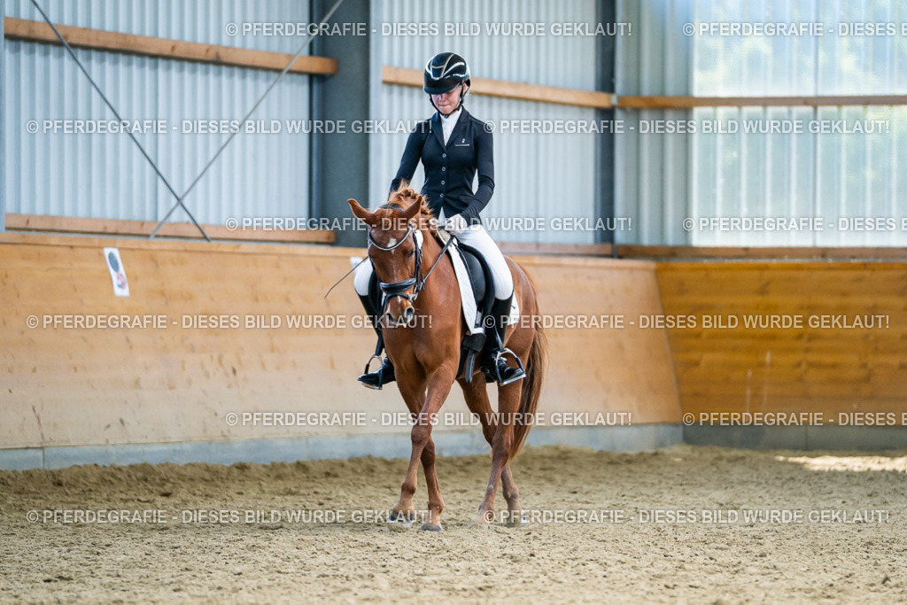 DSC05198 | Pferdegrafie