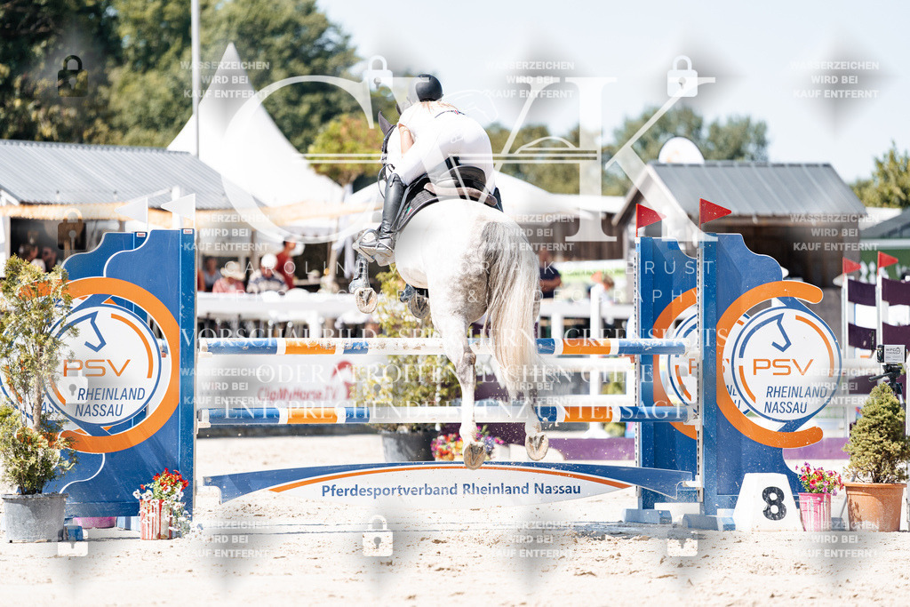 CK909600 | Turnierfotografie Pferdefotografie Trier Rheinland-Pfalz Pferdesport Reitsport Tierfotografie Sportfotografie Pferdevideo Pferdevideografie Equestrianvideography equestrianphotography  - Realisiert mit Pictrs.com