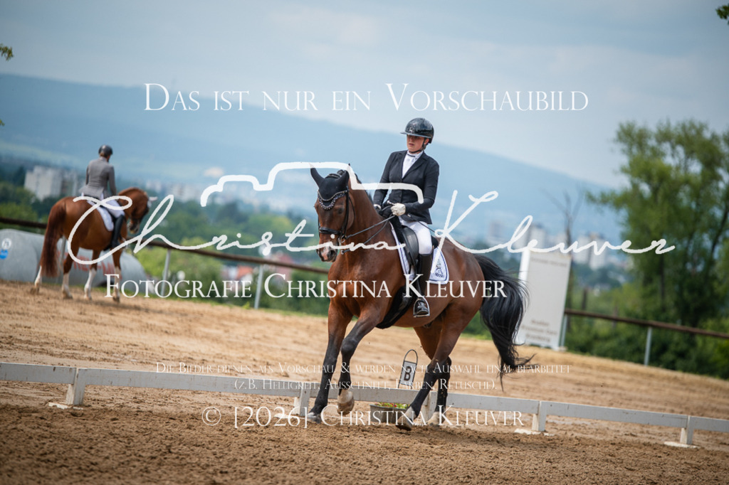 DSC_1211 | Christina-Kleuver