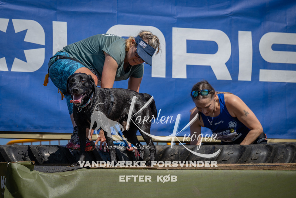 1255_ZZ97546 | kk-dogfotos