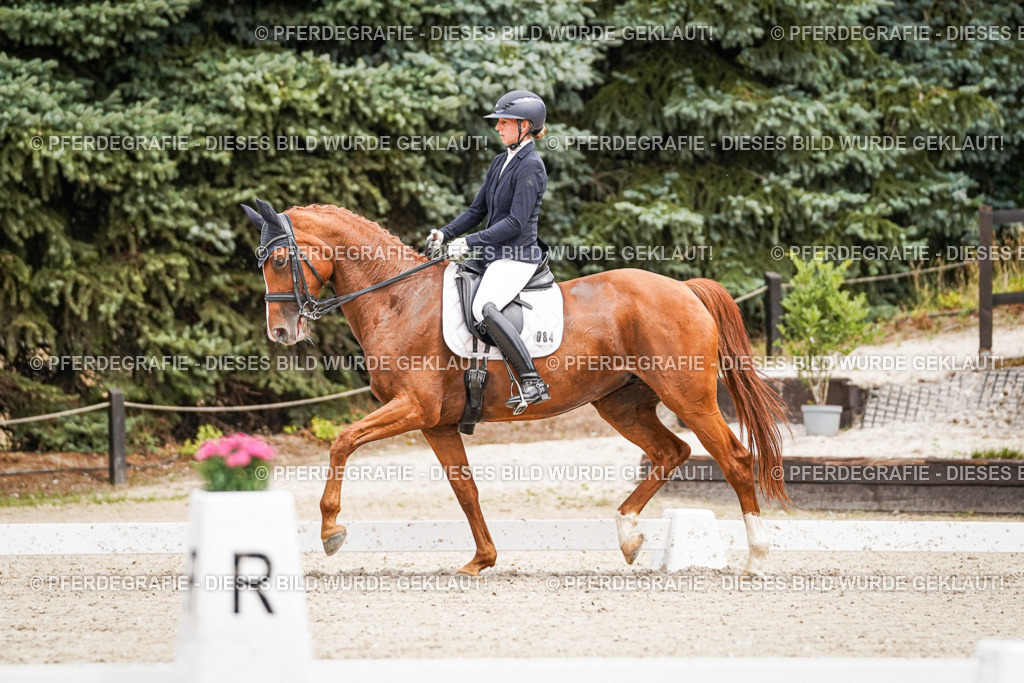 DSC04770 | Pferdegrafie