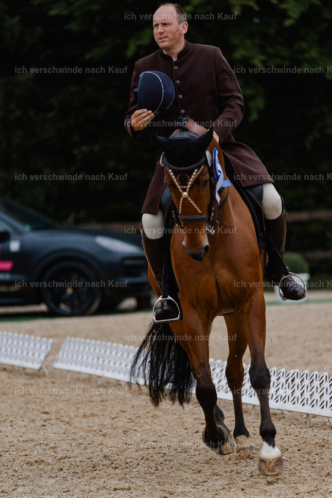 Gernot25_FHC2025-9058 | working equitationturnier fotograf videograf stoibphotography marixx film working equitation deutschland reitsport turnierfotografie eventfotografie equestrian events