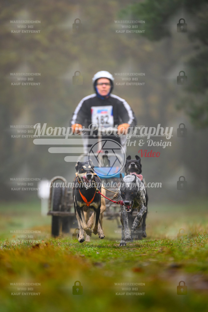 MompixPhotography_Bischwiller2025_Kart-20 | mompixphotography