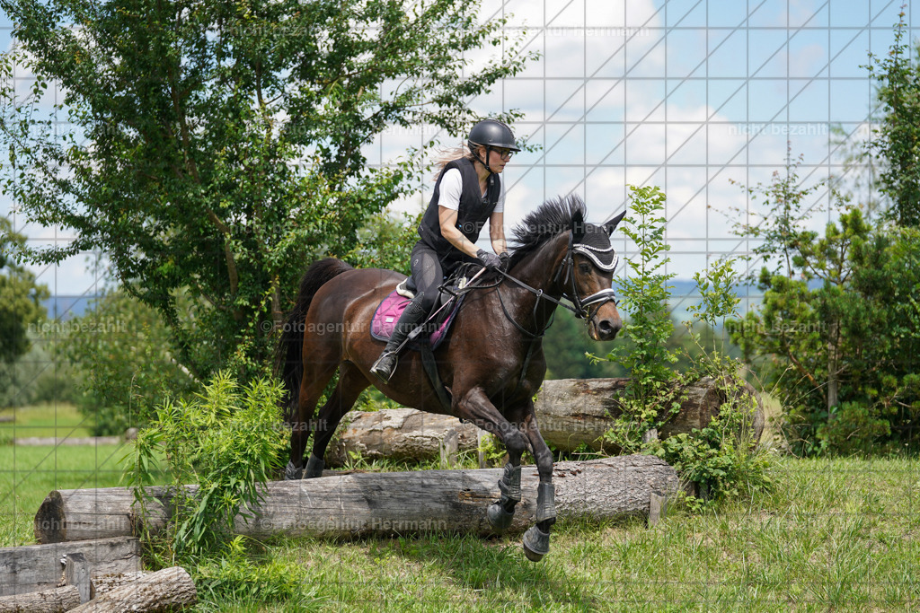 20240622-FAH07516 | Turnierfotografen Bayern, Reitsportbilder aus dem Geländekurs mit Felix Etzel auf dem Gut Waitzacker 2024