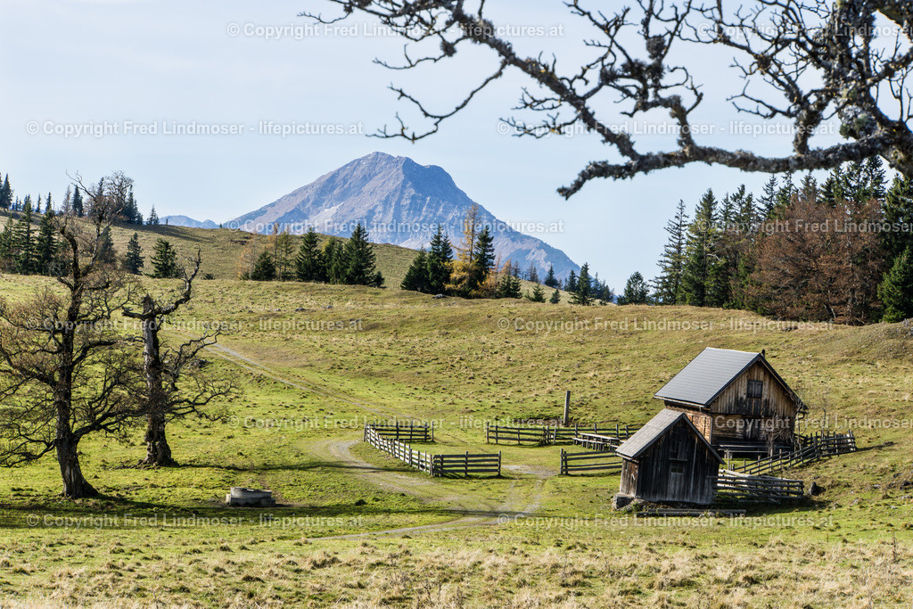 Tirolerkogel Kuchl Alm Annaberg-04010 | Fotos und Fotoprodukte - Realisiert mit Pictrs.com