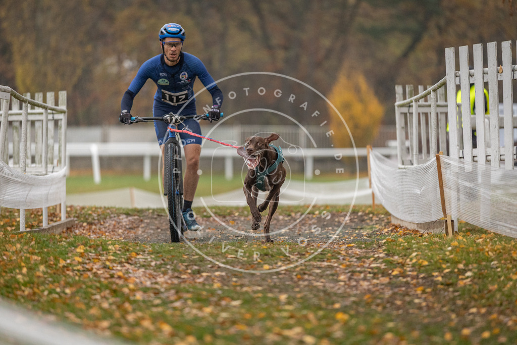 CaniXpix_DV3A7495 | Hundefotografie, Tierfotograf, Pfotenfotografie, Fotoshooting Hund, Hunde Portrait, Hundesport, Hundeportraits, Heideshooting, Hunde, Sportfotograf, Hundefotograf, Turnierhundsport, THS,  - Realisiert mit Pictrs.com