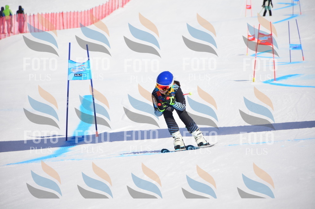 VR4_9818 | holidayphoto