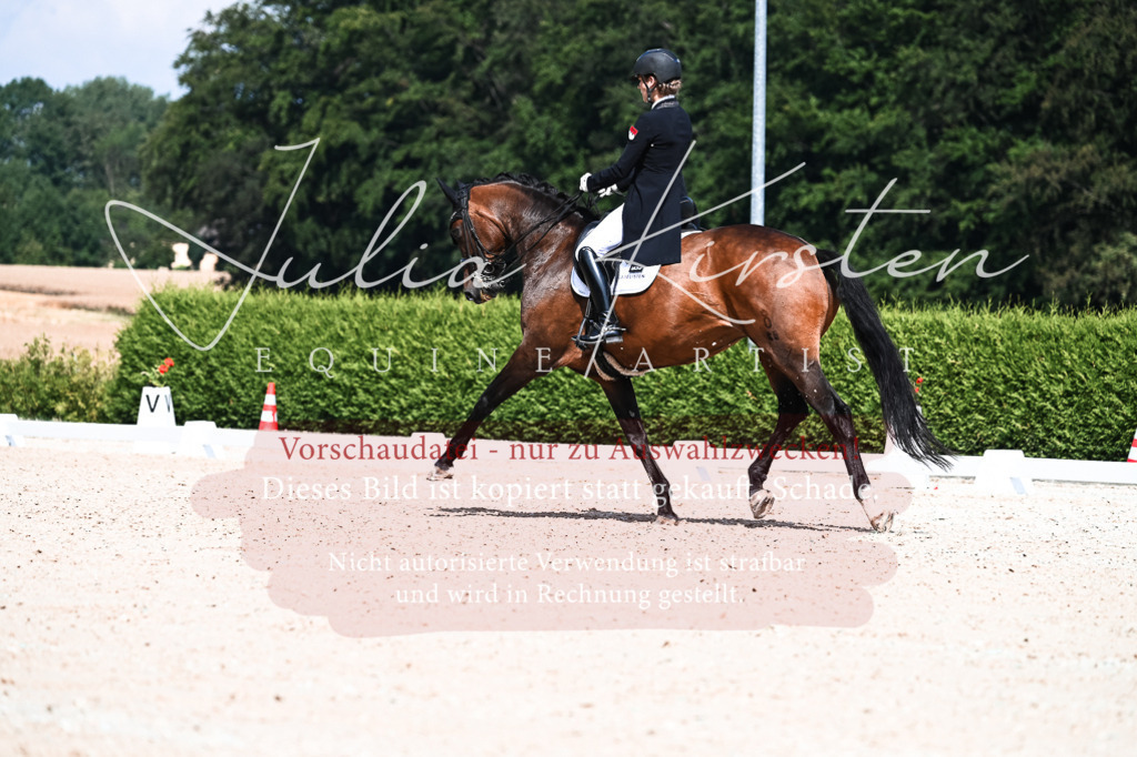 DSC_3066 | Pferde- und Turnierfotografie in Westsachsen. Pferdeportraits, Auftragszeichnungen und intuitive Kunst.