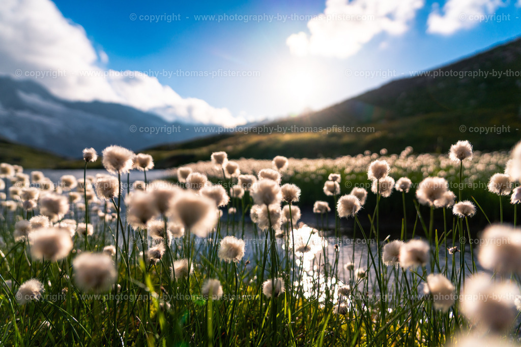 Oberer Gerlossee copyright  Thomas Pfister-8 | PHOTOGRAPHY BY THOMAS PFISTER