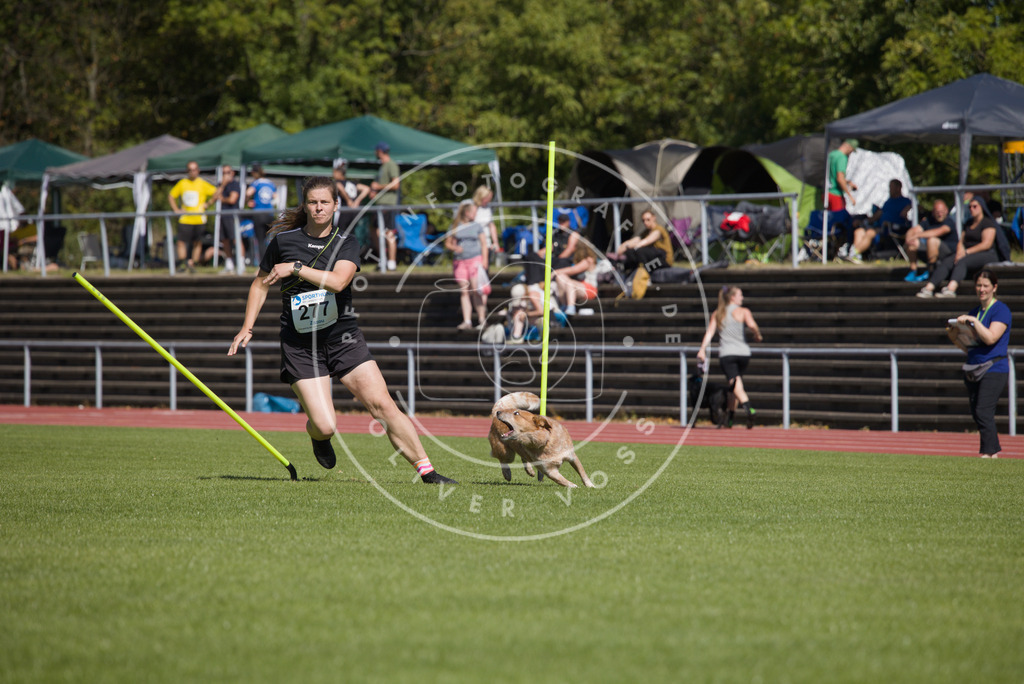 0L8A6765 | Hundefotografie, Tierfotograf, Pfotenfotografie, Fotoshooting Hund, Hunde Portrait, Hundesport, Hundeportraits, Heideshooting, Hunde, Sportfotograf, Hundefotograf, Turnierhundsport, THS,  - Realisiert mit Pictrs.com