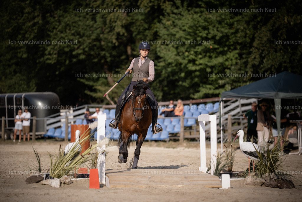 WS_SP_46_Stoibphotography_SO12403 | working equitationturnier fotograf videograf stoibphotography marixx film working equitation deutschland reitsport turnierfotografie eventfotografie equestrian events