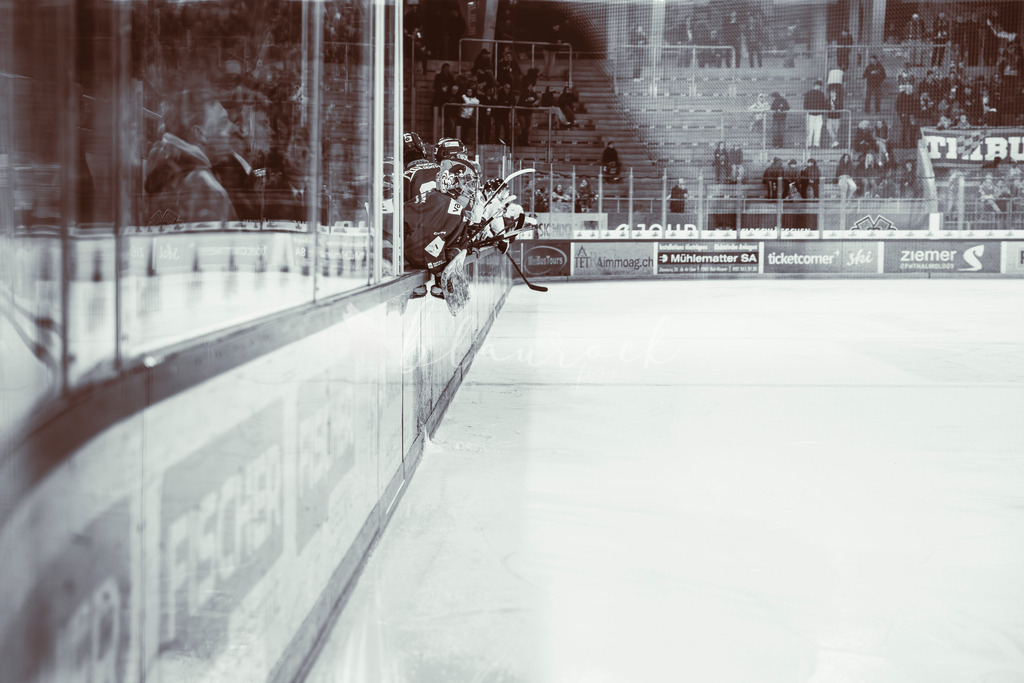 EHCB vs GCK _1-754823168 | Sportbilder, Sportfotograf, Hochzeits- und Eventfotografin, Flugshows, Portraits und Tiershooting, Aviation, Downhill, Nationalleague, Swissleague, International