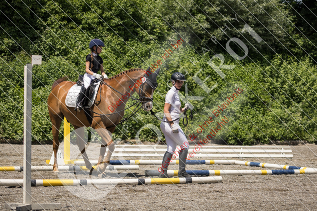 IMG_3496 | Sport-, Event- und Tierfotos in Profiqualität. Einfach auswählen, bestellen und herunterladen. Dein Moment – perfekt festgehalten.