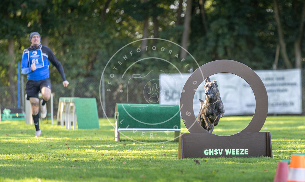 Pfotenfotografie.de_DV3A3614 | Hundefotografie, Tierfotograf, Pfotenfotografie, Fotoshooting Hund, Hunde Portrait, Hundesport, Hundeportraits, Heideshooting, Hunde, Sportfotograf, Hundefotograf, Turnierhundsport, THS, canicross - Realisiert mit Pictrs.com