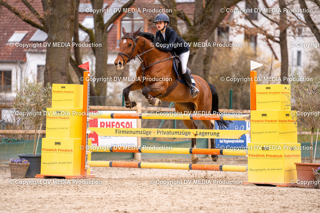 Kranichstein Tag 2-196 | dv-media-shop - Realisiert mit Pictrs.com