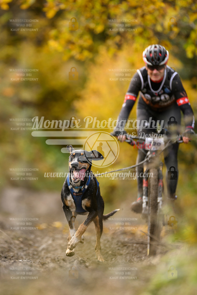 MompixPhotography_ICF_WC_2024_SA_Bike_-368 | PayLife