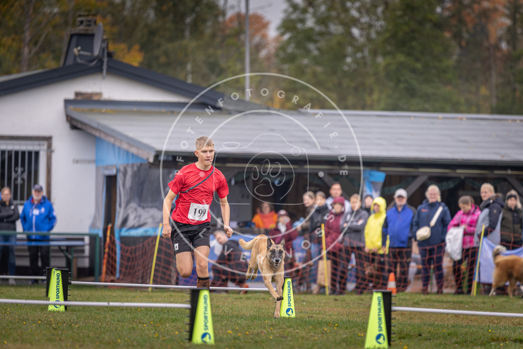 Pfotenfotografie_DV3A0801 | Hundefotografie, Tierfotograf, Pfotenfotografie, Fotoshooting Hund, Hunde Portrait, Hundesport, Hundeportraits, Heideshooting, Hunde, Sportfotograf, Hundefotograf, Turnierhundsport, THS,  - Realisiert mit Pictrs.com